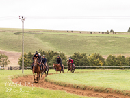 AK300921-43 - Alan King Stable Visit